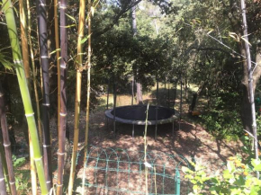 Saint-Vincent-de-Barbeyrargues